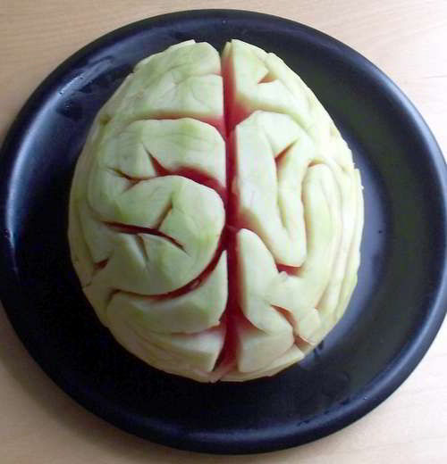 watermelonbrain